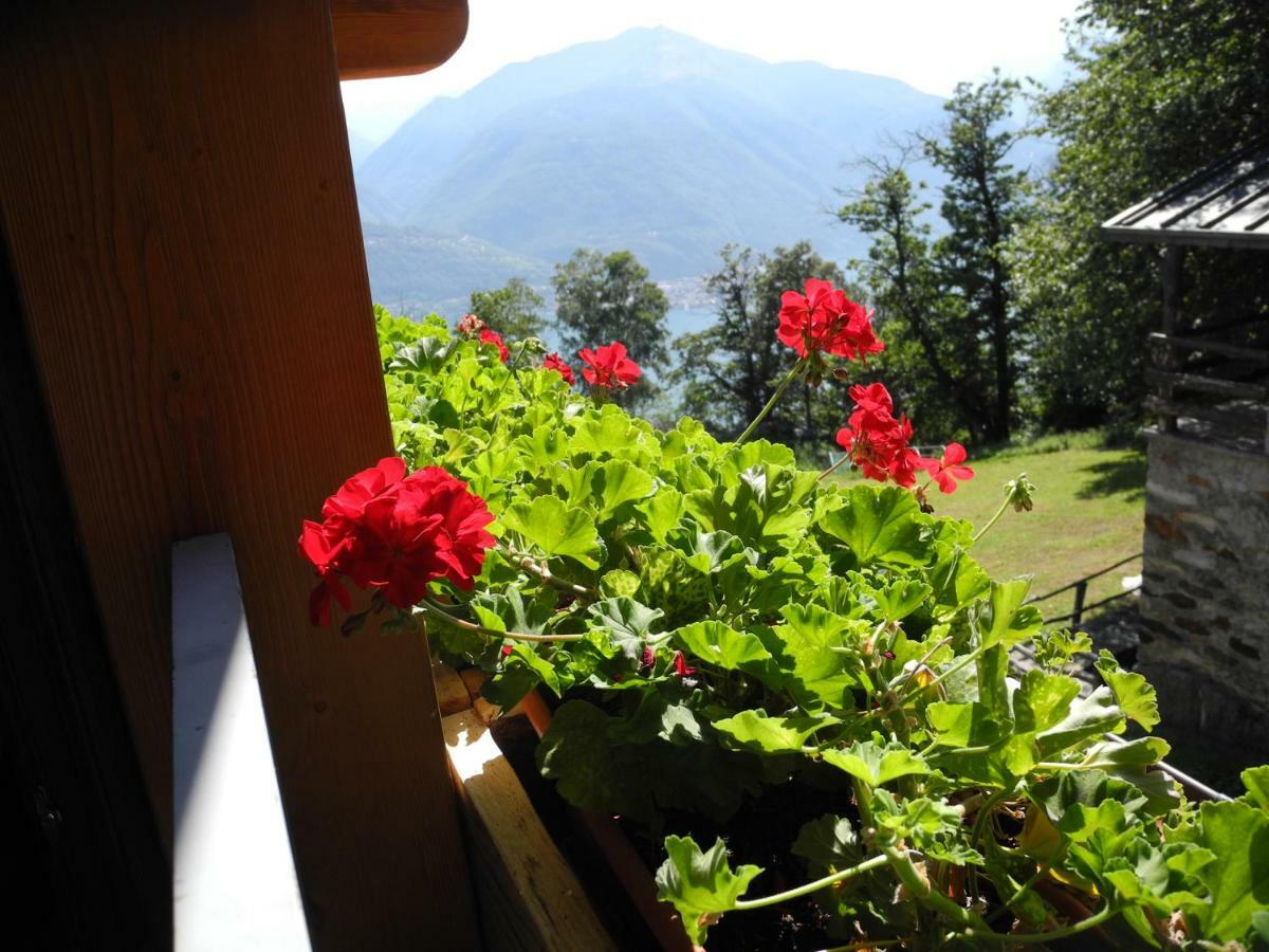 Agriturismo Piccolo Paradiso Pianello Del Lario Exterior photo