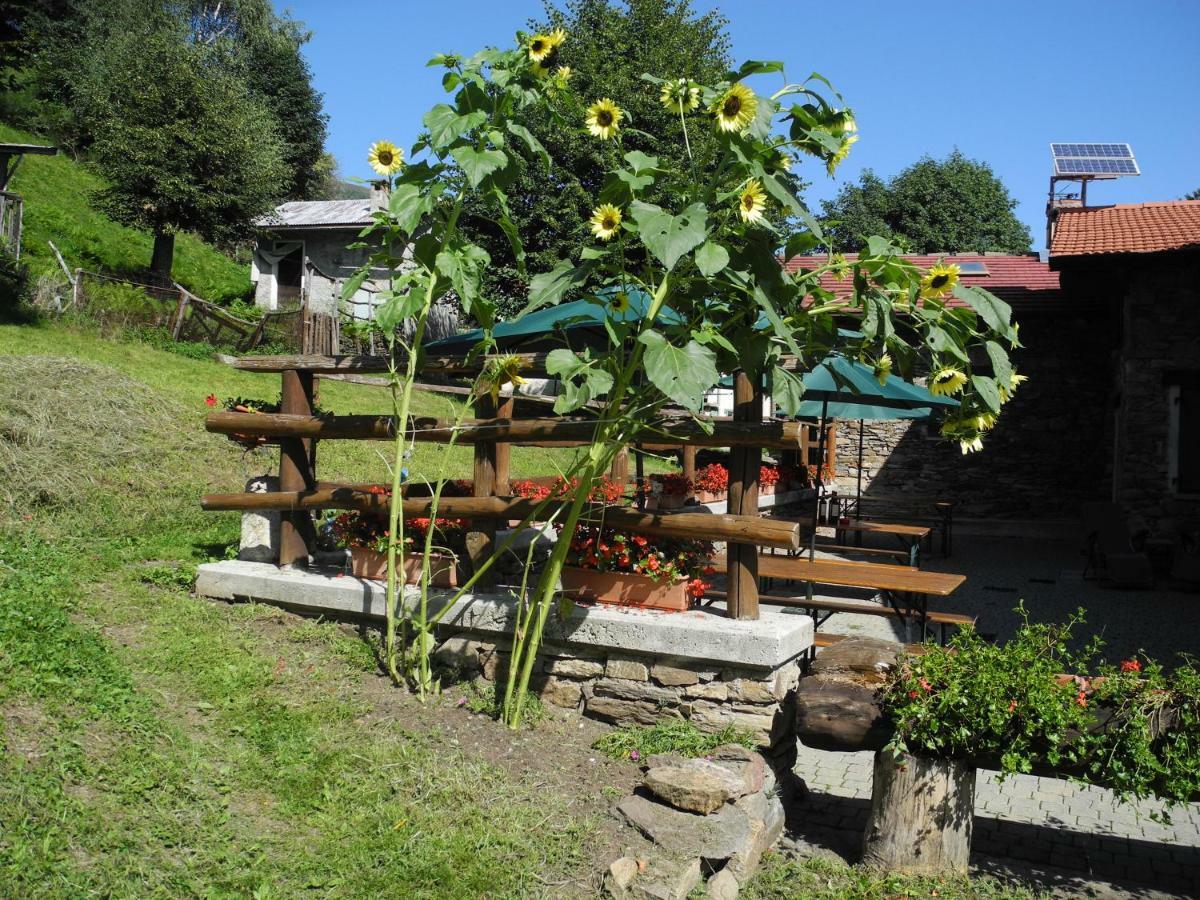 Agriturismo Piccolo Paradiso Pianello Del Lario Exterior photo